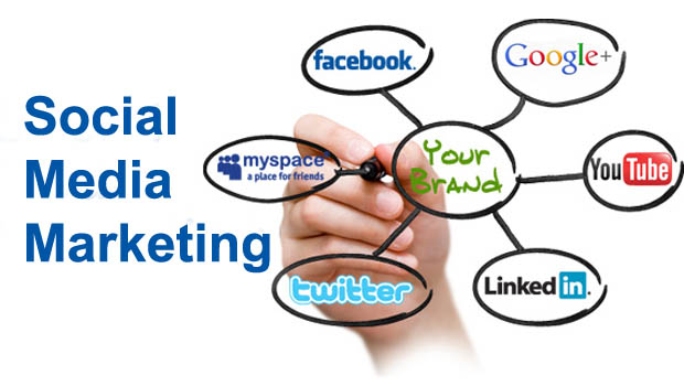 Social Media Management Services in Miami, SMM Services, Best Social Media Marketing Company in India