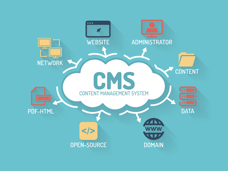 Custom CMS Development Services in Miami - Scalable Content Management Solutions